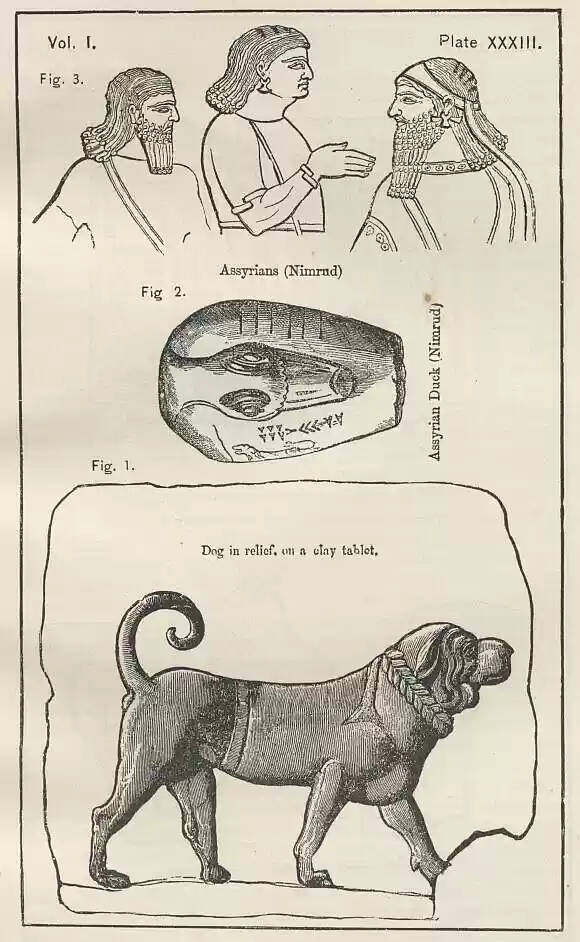 plate033